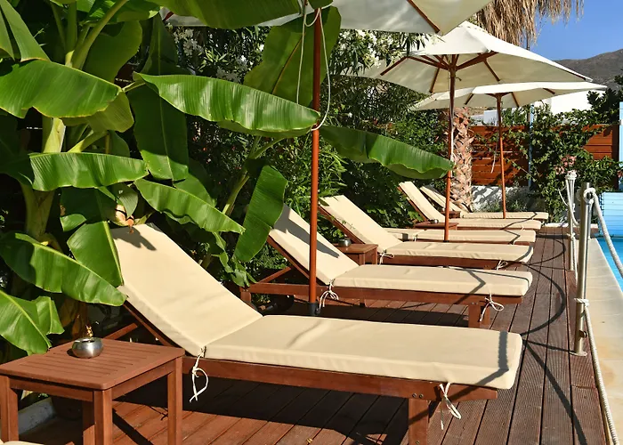 Katerina 4* باروس